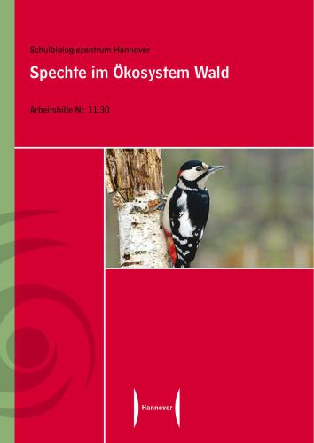 Spechte im Ökosystem Wald