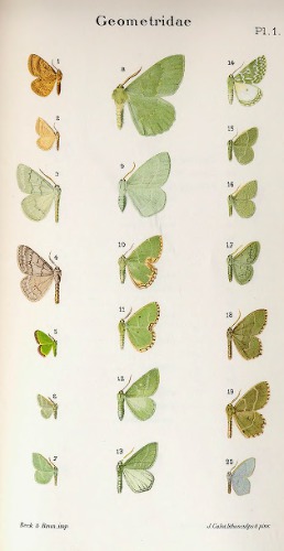 Geometres. Vol. III-IV