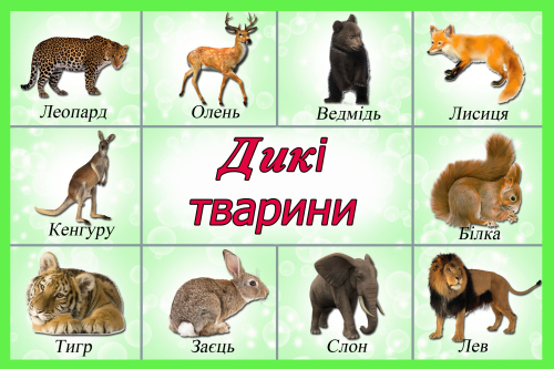 Навчальні тематичні карточки для ДНЗ (20 шт)