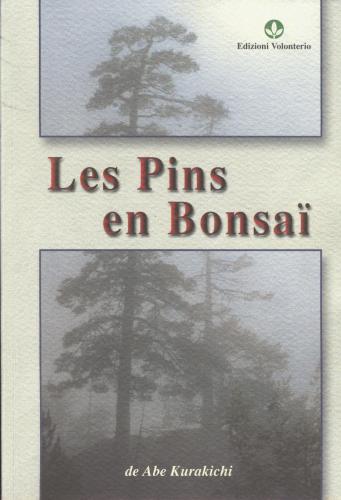 Les Pins En Bonsai