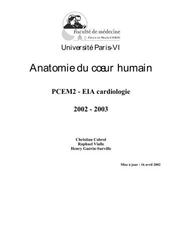 Anatomie du coeur humain