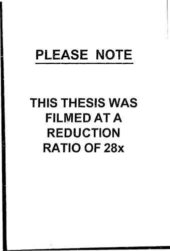 Anindilyakwa Phonology and Morphology