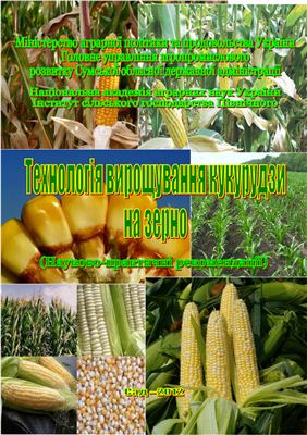 Технологія вирощування кукурудзи на зерно