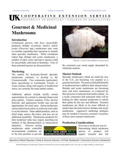 Gourmet & Medicinal mushrooms