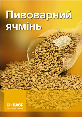 Пивоварний ячмінь