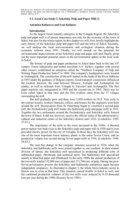 Local case study I: Sokolskiy pulp and paper mill