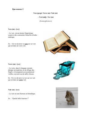 Лексические омонимы во французском языке. Мини-спектакль