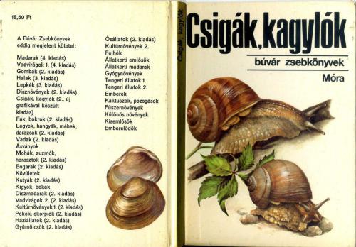 Czigak, kagylok (Mollusks and slugs - Моллюски)