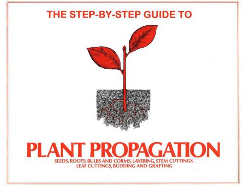 Step-by-Step Guide to Plant Propagation