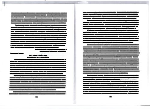 Мина Мазайло: історія чи сучасність