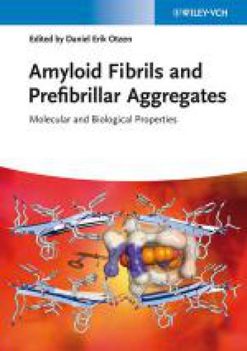 Amyloid Fibrils and Prefibrillar Aggregates: Molecular and Biological Properties