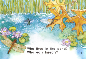 Who Lives Here. Reader