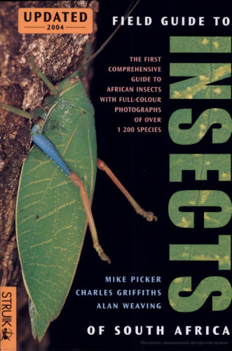 Field Guide to Insects of South Africa
