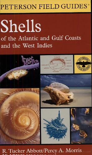 Shells of the Atlantic and Gulf Coasts and the West Indies