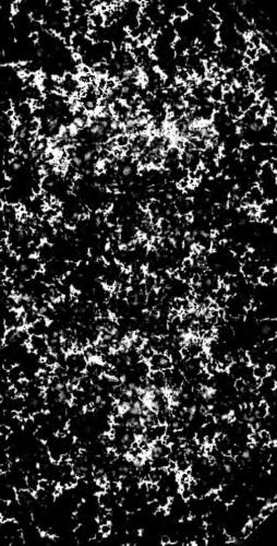 Az Oláhok Története, k. I