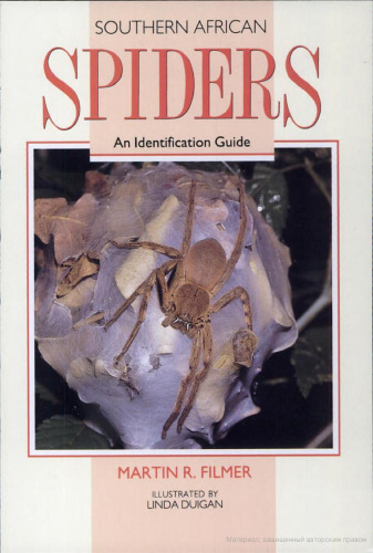 Southern African Spiders: An Identification Guide
