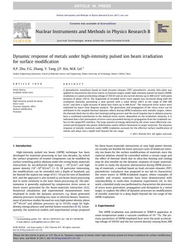 Dynamic response of metals under high-intensity pulsed ion beam irradiation for surface modification