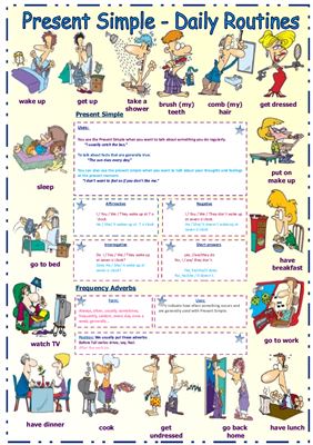 Worksheet - The Daily Routine