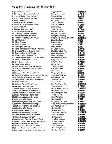 Taijijian with Sword (54 forms)