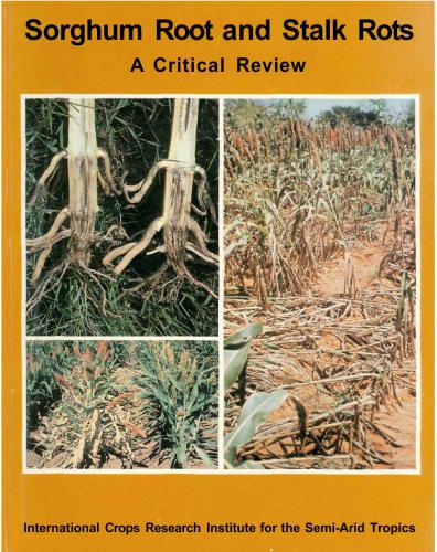 Sorghum Root and Stalk Rots: a Critical Review