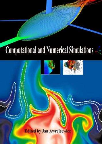 Computational and Numerical Simulations