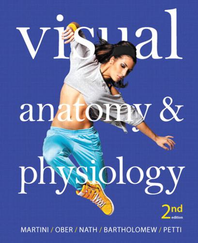Visual Anatomy & Physiology (Part II)