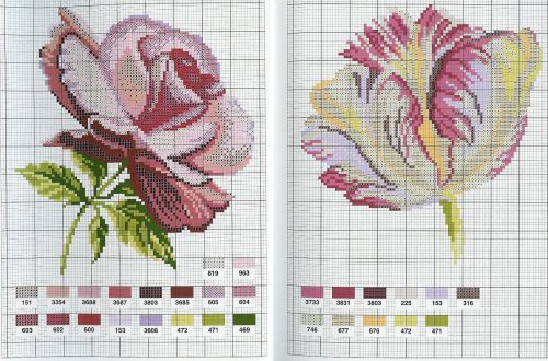 Flower variations