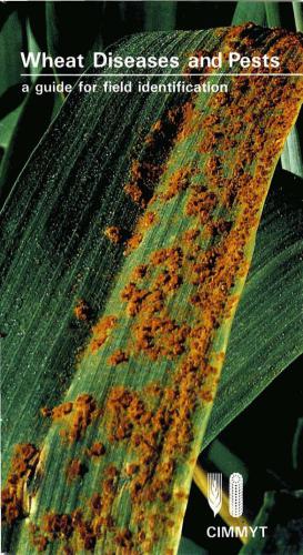 Wheat Diseases and Pests: A Guide for Field Identification