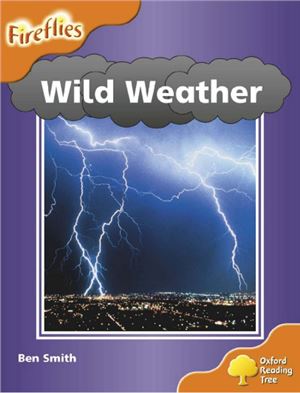 Oxford Reading Tree: Stage 6: Fireflies: Wild Weather (Book)