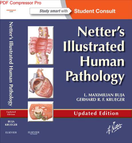 Netter's Illustrated Human Pathology