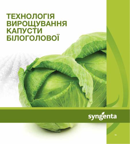 Технологія вирощування капусти білокачанної