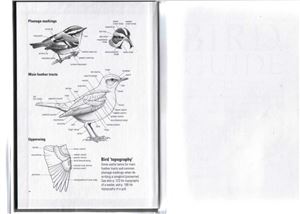 Bird Guide