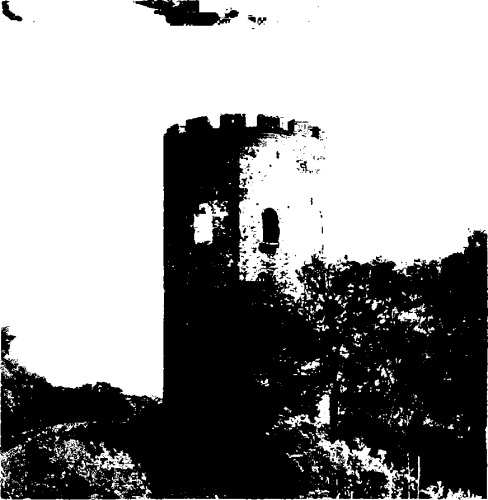 Гісторыя беларускага мастацтва