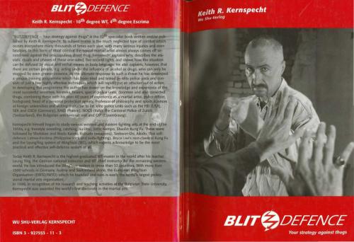 Blitzdefence: Your strategy against thugs