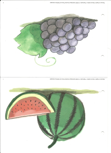 Playway to English 2 Flashcards