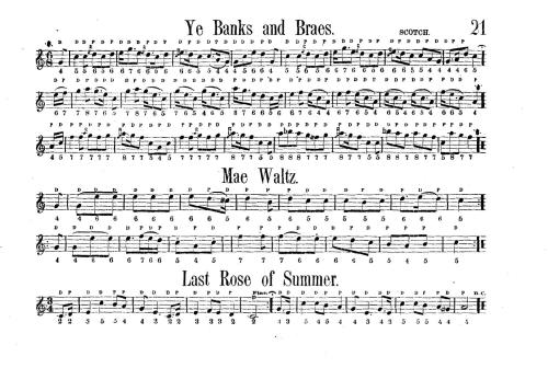 Flutina and accordion teacher (part 2)