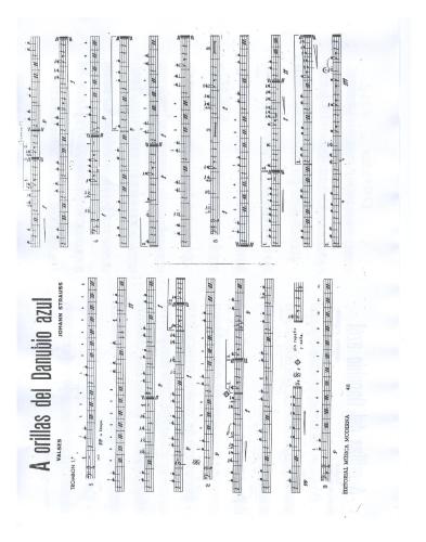 A Orillas del Danubio Azul