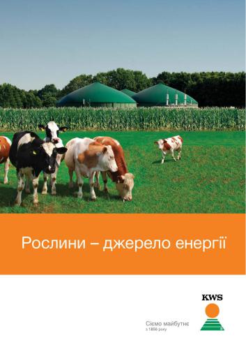 Рослини - джерело енергії