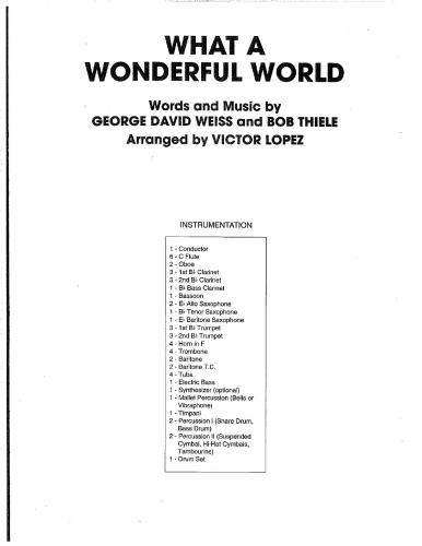 What a Wonderful World band