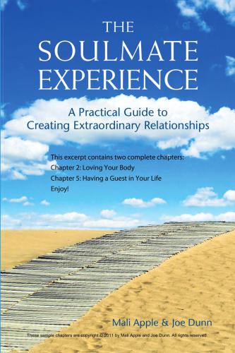The Soulmate Experience