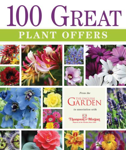 100 great plant offers