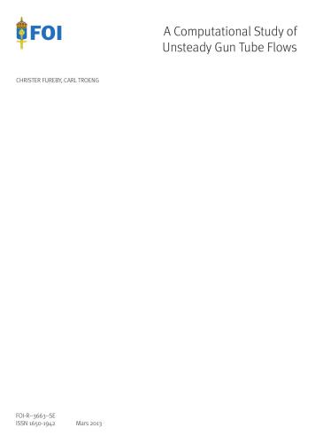 A computational study of unsteady gun tube flows