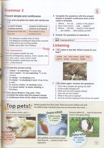 Английский язык 6 класс часть 2