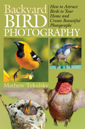 Backyard Bird Photography. How to Attract Birds to Your Home and Create Beautiful Photographs