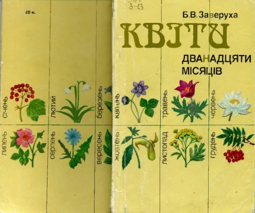 Квіти дванадцяти місяців