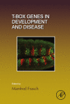 T-box Genes in Development and Disease