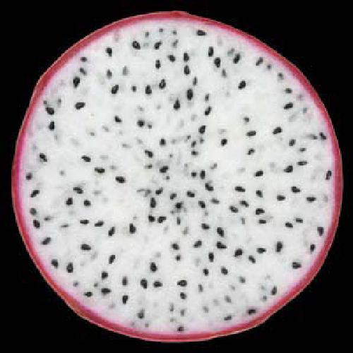 iPhone Cool Projects