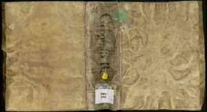 Geographiae Universae tum veteris tum novae absolutissimun opus duobus voluminibus distinctum