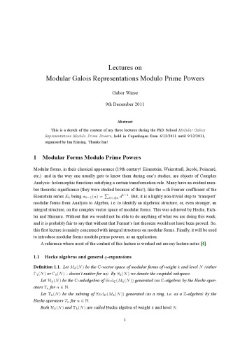 Lectures on Modular Galois Representations Modulo Prime Powers [Lecture notes]
