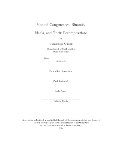 Monoid Congruences, Binomial Ideals, and Their Decompositions [PhD thesis]